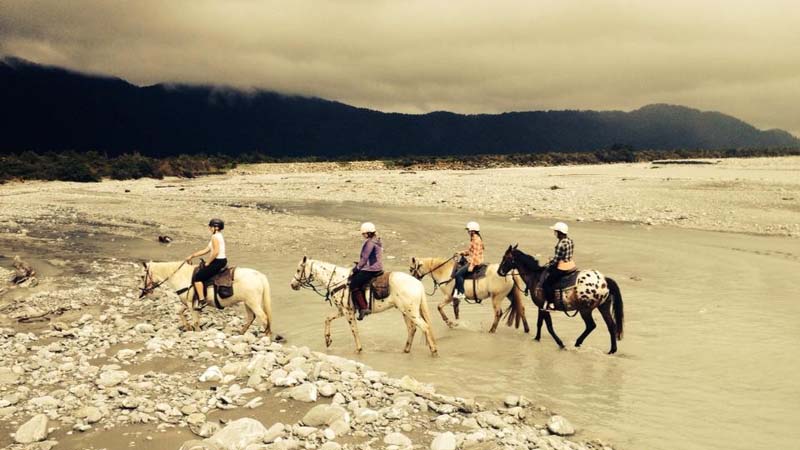 Experience the sheer beauty of the Franz Josef Glacier region on horseback with a 1.5 hour trek brought to you by Glacier Country Horses.